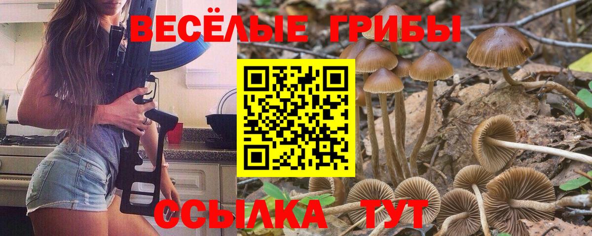 Галлюциногенные грибы мицелий  Вход с VPN  Мирный  Галлюциногенные грибы GOLDEN TEACHER 